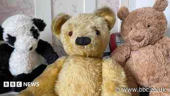 Teddy bear appeal launched for children in care