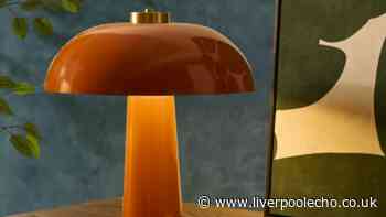Dusk fans love 'stunning' £45 retro table lamp in 'striking colour'