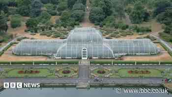 How to move 1,300 plants for Kew's Palm House mega makeover