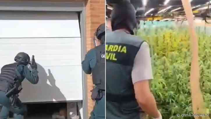 Duizenden wietplanten ontdekt bij invallen in Spanje, zes verdachten aangehouden