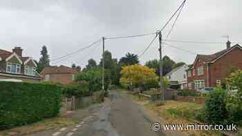 Man arrested on suspicion of murder after woman found dead in Norfolk