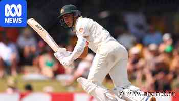 Labuschagne set for Test after first ton in 11 months