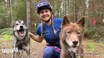 Lockdown puppy leads woman to international husky racing