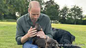 Animal rights group that attacked Prince and Princess of Wales for their dog having puppies is reported to charities regulator