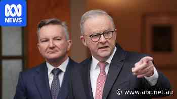 Live: Albanese heads to pre-COP in Fiji, Tuvalu
