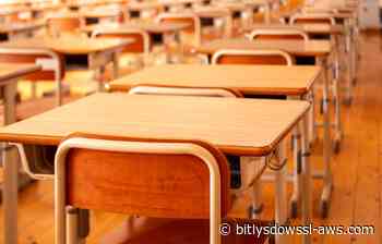 La red secreta para educar niñas en Afganistán: clases en el salón, el teléfono y con IA