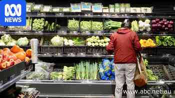 Are Coles and Woolworths centralising their supply chains? Some experts think so