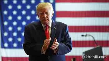 Trump takes red state midterm blitz to Nebraska as GOP frets over Senate race
