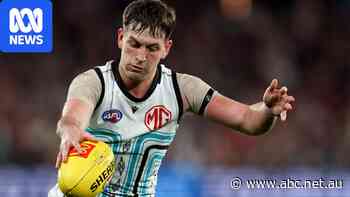 What to look for during the AFL trade period