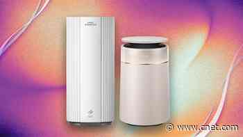 Breathe Easy With Our Favorite Air Purifiers, Now Up to $155 Off for Prime Day