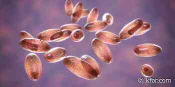 State Department monitoring reports of suspected plague death in Russia