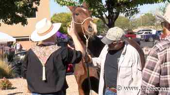 Cats, dogs and more gathered together in Albuquerque to be blessed
