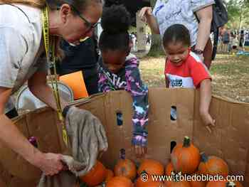 Pumpkin Palooza brings fall to Ottawa Park