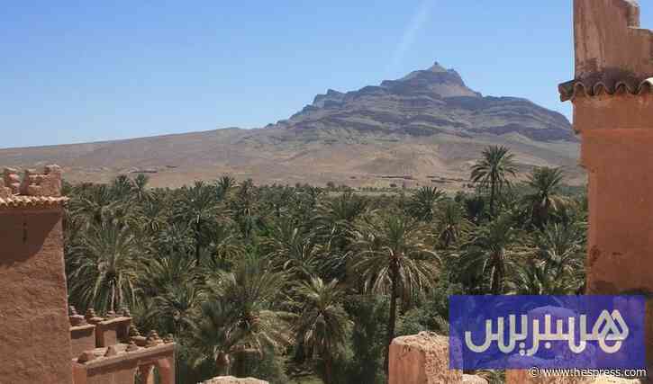 رصيف الصحافة: زاكورة تطلق أوراش تأهيل الواحات بـ13 مليار سنتيم