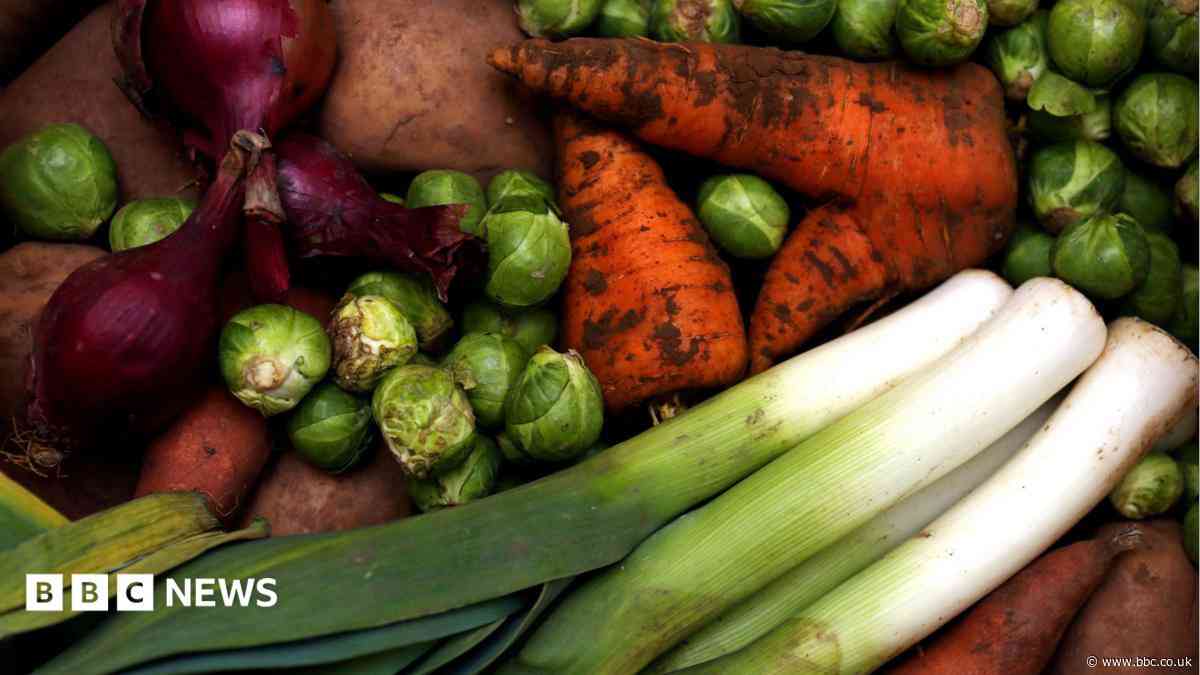Healthy food projects boosted with £222k fund