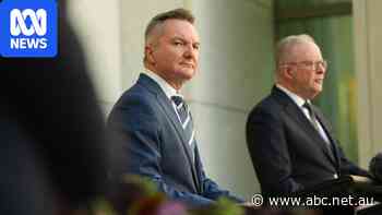 Live: Chris Bowen won't detail final cost of pre-COP meeting