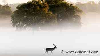 Cool! That long, hot summer gives way to autumn at last as Met Office warns it's 'turning colder for all'