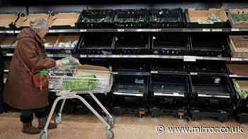 UK 'desperately needs mass food storage sites in case of national emergencies or war'