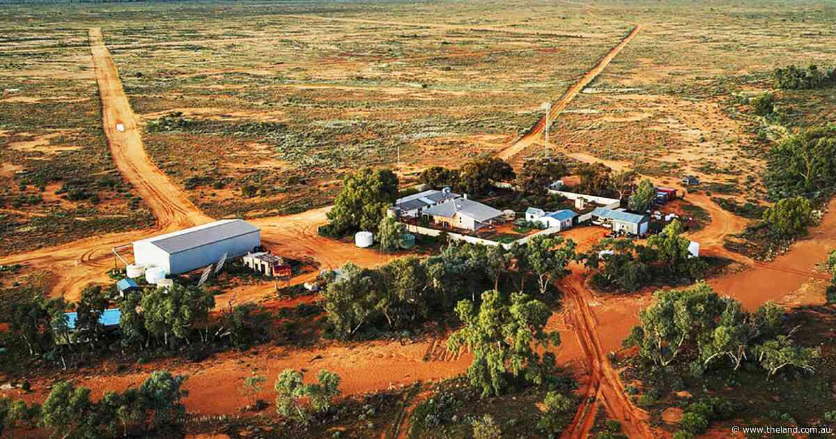 Bidder picked for 88,500ha sheep station after national interest in lease