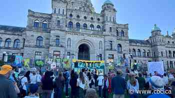 Hundreds rally at B.C. Legislature demanding stronger protections for remaining old-growth forests