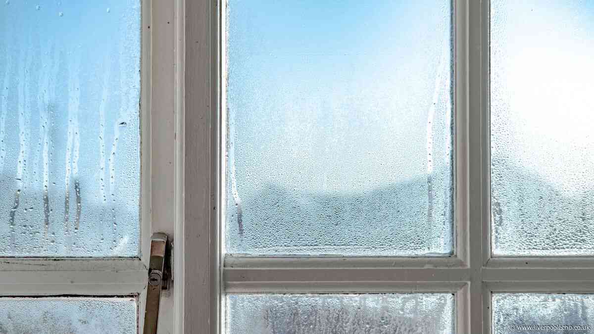 I keep condensation off my windows with simple 62p item that really works