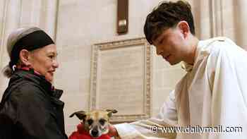 Holy meow! Owners from all over the world get their beloved pets blessed at local churches