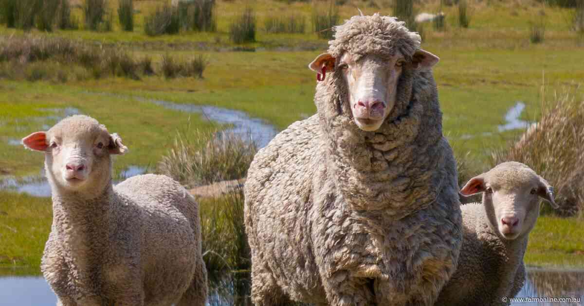 Minister's 'harebrained' super plan to invest in US farm supply chain hits wall
