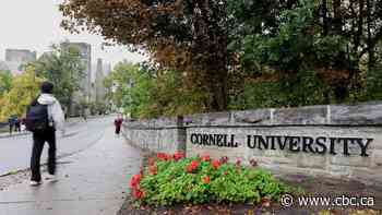 Jane Doe at centre of Cornell rape case targeted with threats, her lawyer says