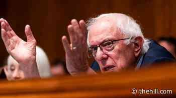 Sanders backs Pope Leo’s call to protect human art from AI