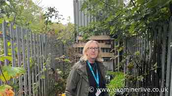 Frustration as Huddersfield shortcut still blocked amid argument over owner