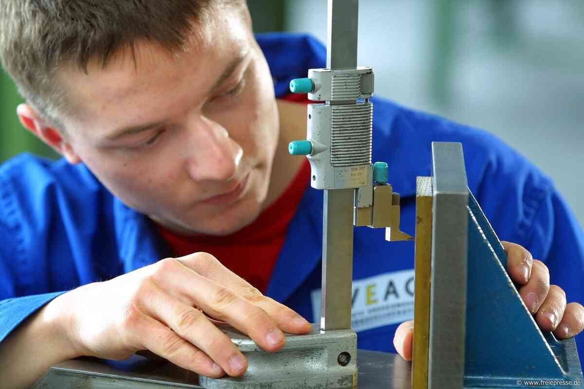 Geplante Einschnitte bei der Berufsausbildung im Vogtland: Was sagen die betroffenen Schulleiter?