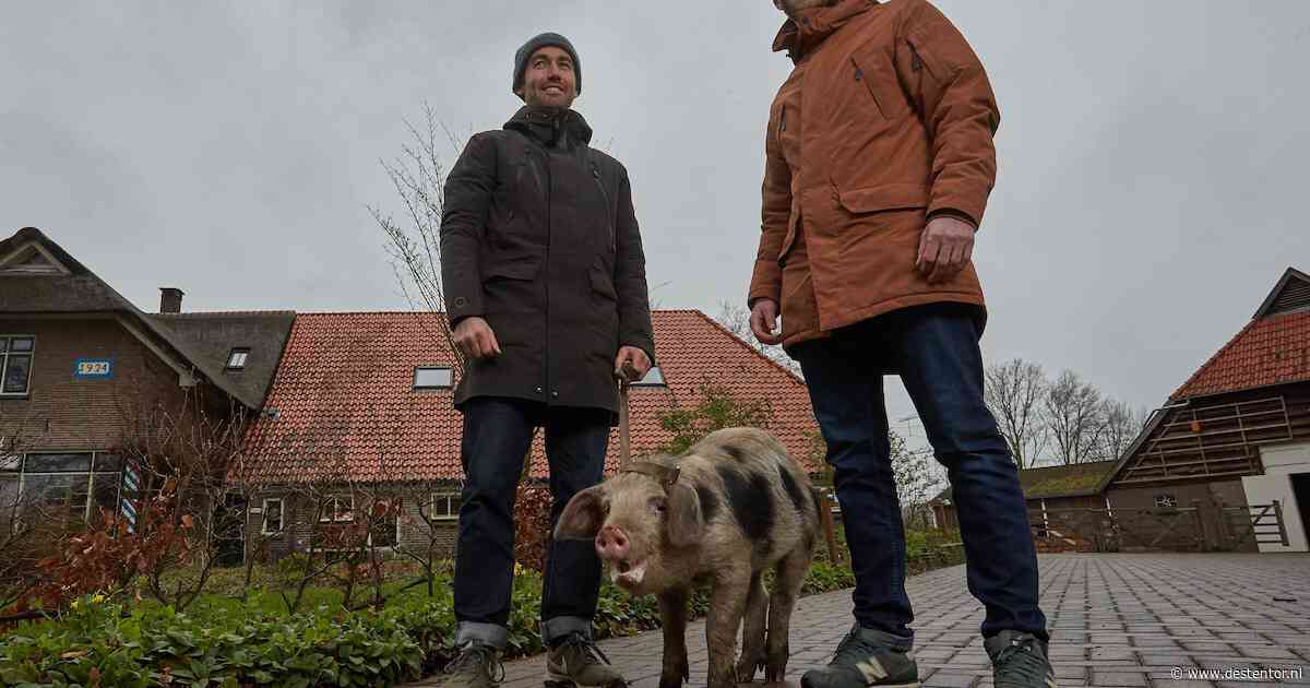 Een dakopbouw die de meeste mensen niet eens opvalt zorgt nu al zes jaar voor heisa in Lochem