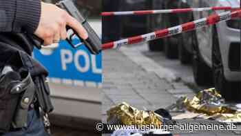 Wenn ein Notruf mit Polizeischüssen endet: Greifen Beamte zu schnell zur Waffe?