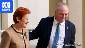 Joyce confirms Rinehart purchased $8m One Nation head office in Brisbane — as it happened