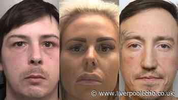 Drug dealer whose 'head fell off', thug who hit dog with hammer and 'J Flabs' jailed