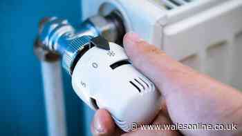 Save on energy costs by setting your radiator dials to this number