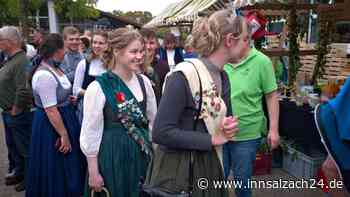 Großer Andrang beim Gartlertag in St. Wolfgang: Äpfel, Kräuter und eine Königin locken die Besucher