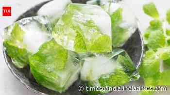How to store curry leaves and pudina at home: Easy ways to keep them fresh for months