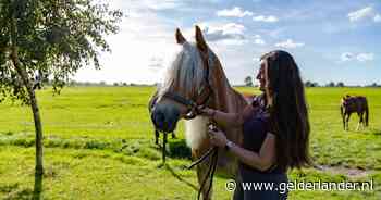 Sinds de eerste besmetting is elk sloom paard verdacht: ‘Het zal toch niet?’