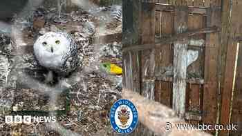 'Neglected' animals rescued from sanctuary