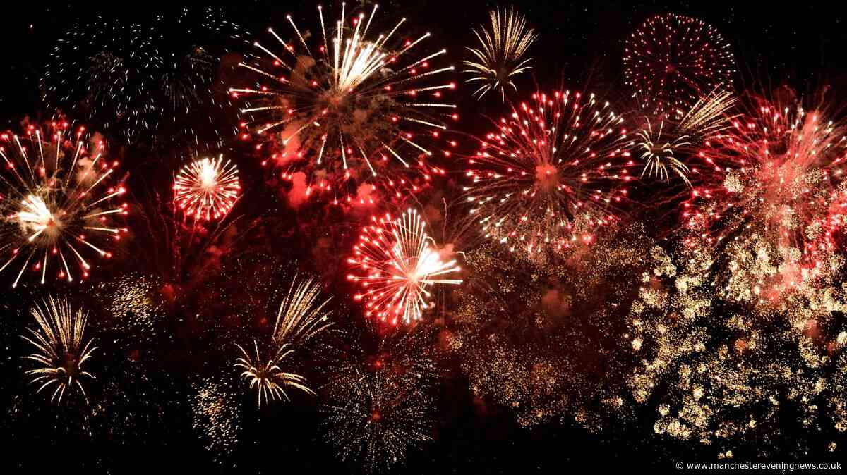 POLL: Should fireworks be banned in the UK? Charity calls for laws to be changed to protect animals
