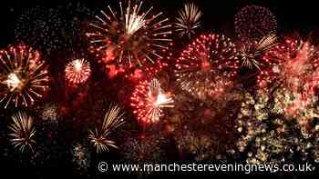 POLL: Should fireworks be banned in the UK? Charity calls for laws to be changed to protect animals