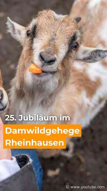 25. Jubiläum Damwildgehege Rheinhausen