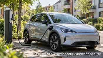 E-Auto-Prämie erreicht 100.000 Antragsteller: Wer von der Förderung profitiert