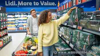 Lidl to open 50 more branches as 3 in 5 household now shop there
