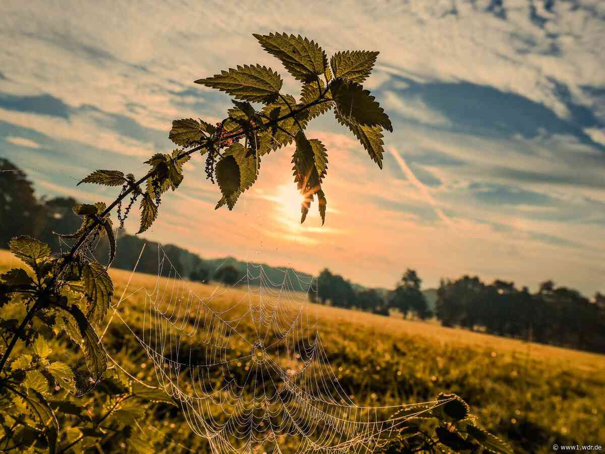 Bauernregeln Oktober 2026: Keine Wetter-Prognose