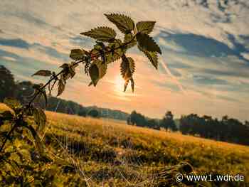 Bauernregeln Oktober 2026: Keine Wetter-Prognose