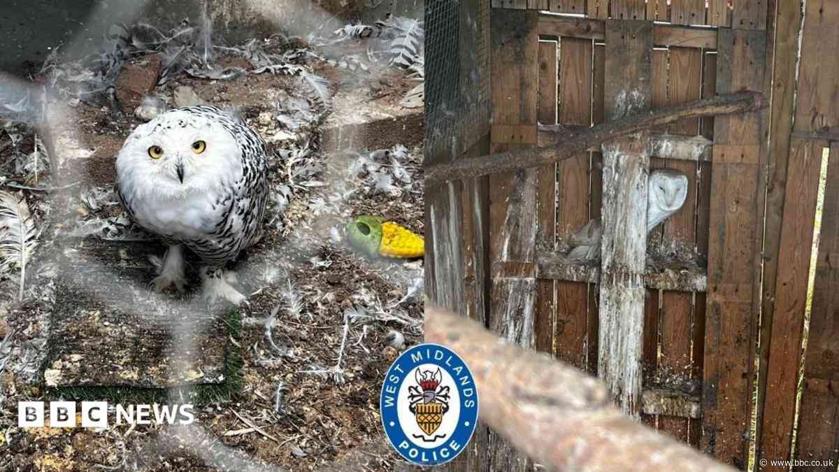 'Neglected' animals rescued from sanctuary
