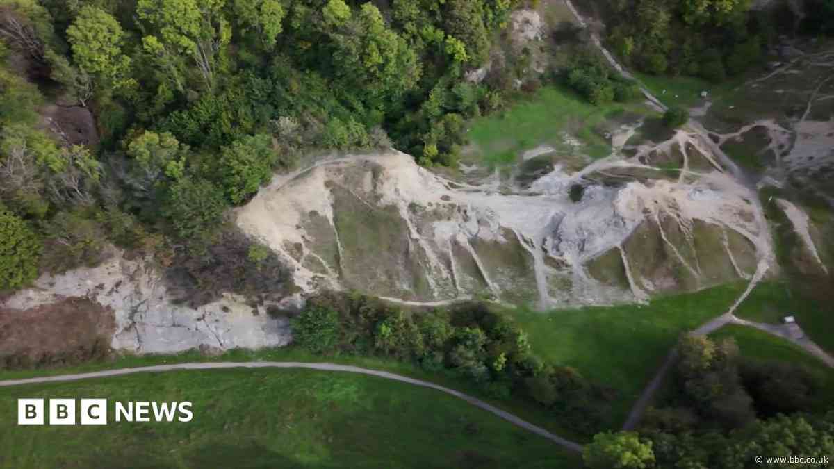 Making a fuss of Black Country fossils - and why it's important