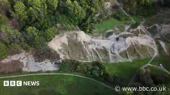 Making a fuss of Black Country fossils - and why it's important
